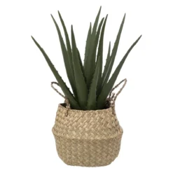 ALOE POT NATUREL H.40CM
