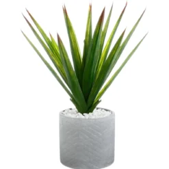 ALOE VERA POT CERAMIQUE H.48CM