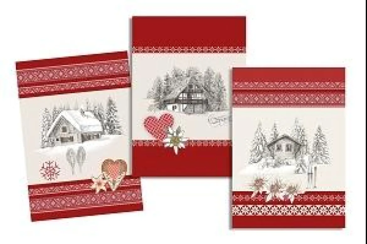 ALPAGE TORCHON 50X70CM MULTICOLORE