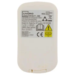 AMPOULE LED TELECOMMANDE REGLABLE E27 A60