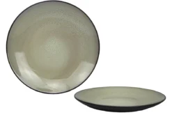 ASSIETTE PLATE 27CM PHENIX BICOLORE GRES