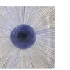ASSIETTE PLATE IRYS ELITE ECLAT 24CM