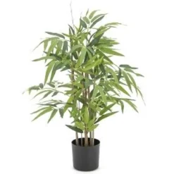 BAMBOU 70CM