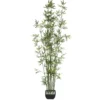 BAMBOU POT CERAMIQUE H.180CM