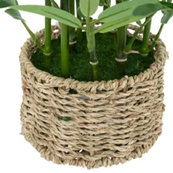 BAMBOU POT NATUREL LY H.46CM