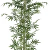 BAMBOU 5 TRONCS NATURELS 838 FEUILLES H.180CM