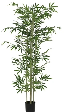BAMBOU 5 TRONCS NATURELS 838 FEUILLES H.180CM