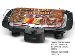BARBECUE ELECTRIQUE 2000W