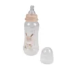 BIBERON COL ETROIT TETINE DEBIT VARIABLE 250ML FORET