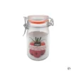 BOCAL HERMETIQUE CLIP METAL 250ML