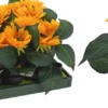 BOITE TOURNESOL