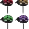 BORNE SOLAIRE COCCINELLE