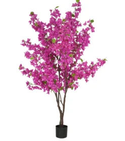 BOUGAINVILLIER 1400 FLEURS EN POT H175CM FUCHSIA