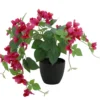 BOUGAINVILLIER RETOMBANT POT H.40CM FUCHSIA