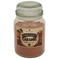 BOUGIE PARFUMEE ELOA SWEET 490G