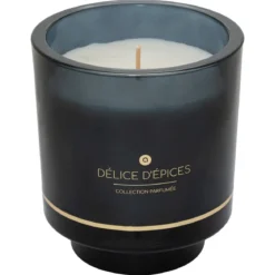BOUGIE PARFUMEE ILAE EPICES POT VERRE 225G