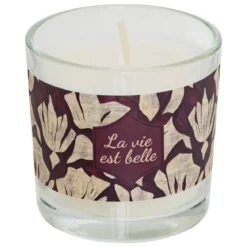 BOUGIE PARFUMEE VERRE DARIL VAN 46G