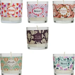 BOUGIE PARFUMEE VERRE DARIL VAN 46G