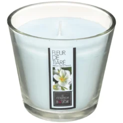 BOUGIE PARFUMEE VERRE FLEUR TIARE NINA 190G