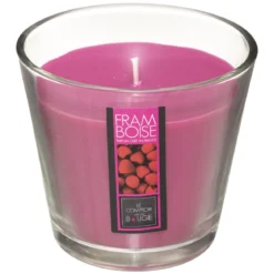 BOUGIE PARFUMEE VERRE FRAMBOISE NINA 190G