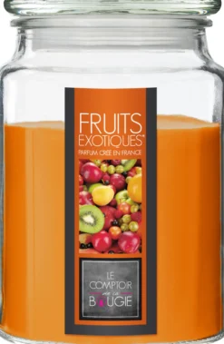 BOUGIE PARFUMEE VERRE FRUIT EXOTIQUE NINA 510G