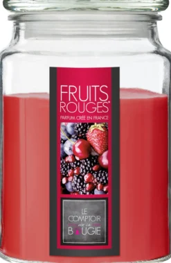 BOUGIE PARFUMEE VERRE FRUIT ROUGE NINA 510G