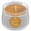 BOUGIE PARFUMEE VERRE IZOR MONOI 110G