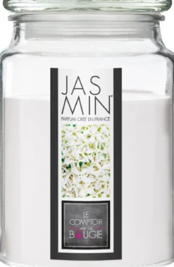 BOUGIE PARFUMEE VERRE JASMIN NINA 510G