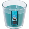 BOUGIE PARFUMEE VERRE NOIX COCO 500G