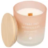 BOUGIE PARFUMEE VERRE SANA TERRE MER 255G