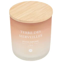 BOUGIE PARFUMEE VERRE SANA TERRE MER 255G