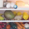 BOULES FRIGO ANTI ODEURS X2