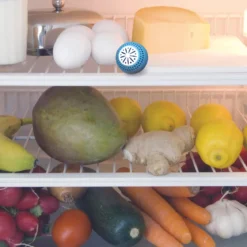 BOULES FRIGO ANTI ODEURS X2