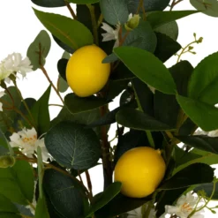 BOUQUET CITRONS GILDA FRUITS ET FLEURS H.64CM