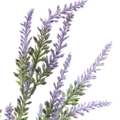 BOUQUET LAVANDE PROVENCE H.37CM