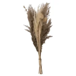 BOUQUET PAMPA ORIGINES H.58CM