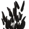 BOUQUET QUEUE DE LAPIN LUMIERE D HIVER H.58CM