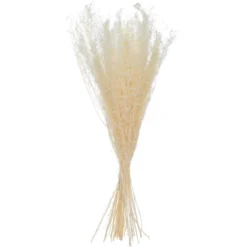 BOUQUET SECHE