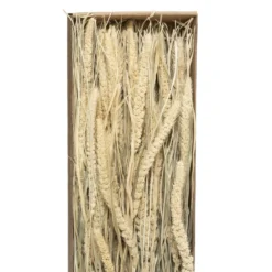 BOUQUET SECHE NATUREL KRAFT H.60CM