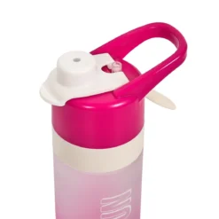 BOUTEILLE BRUMISATEUR 2 EN 1