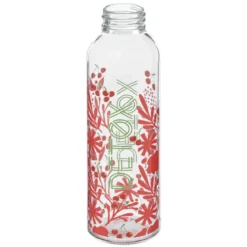 BOUTEILLE DETOX VERRE ET INOX 50CL