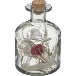 BOUTEILLE VERRE FLEURS SECHEES D.8X11CM