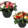 24 BOUTONS ROSES ET FEUILLAGE EUCALYPTUS H.28CM