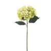 BRANCHE HORTENSIA H.80CM VERT