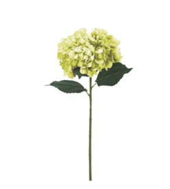 BRANCHE HORTENSIA H.80CM VERT