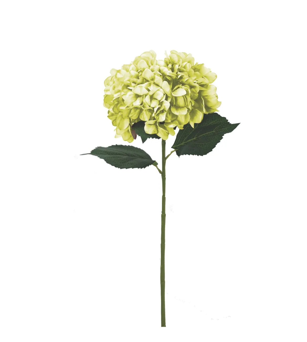 BRANCHE HORTENSIA H.80CM VERT