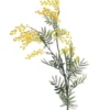 BRANCHE MIMOSAS H.66CM