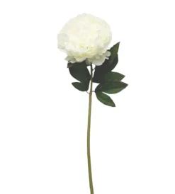 BRANCHE PIVOINE H.70CM BLANC