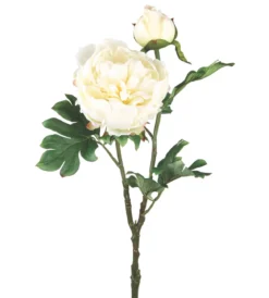 BRANCHE PIVOINE H.69CM BLANC
