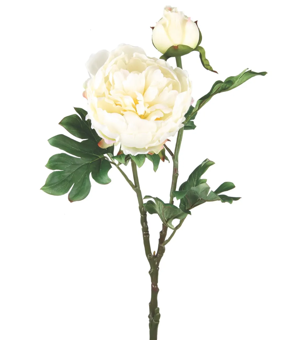 BRANCHE PIVOINE H.69CM BLANC